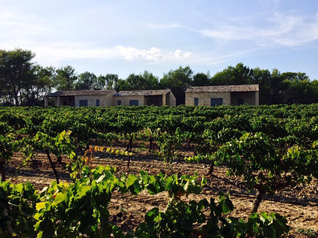 Les Lodges Du Pic Le Triadou 外观 照片